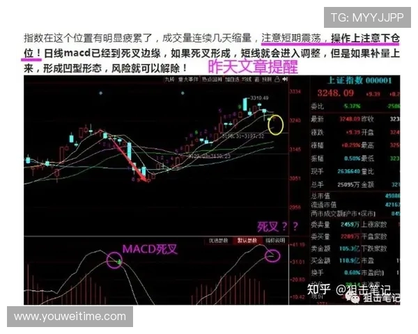 武汉羽毛球队与成都羽毛球队赛后复盘分析比赛节奏与战术对比