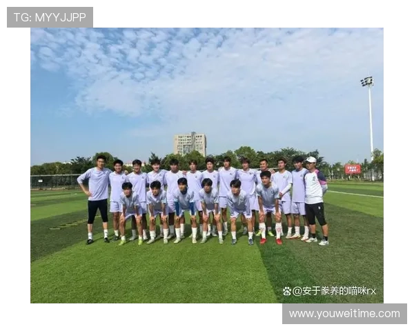 在绿茵场上与足球明星并肩作战的队友们的故事与荣耀 在绿茵场上与足球明星并肩作战的队友们的故事与荣耀